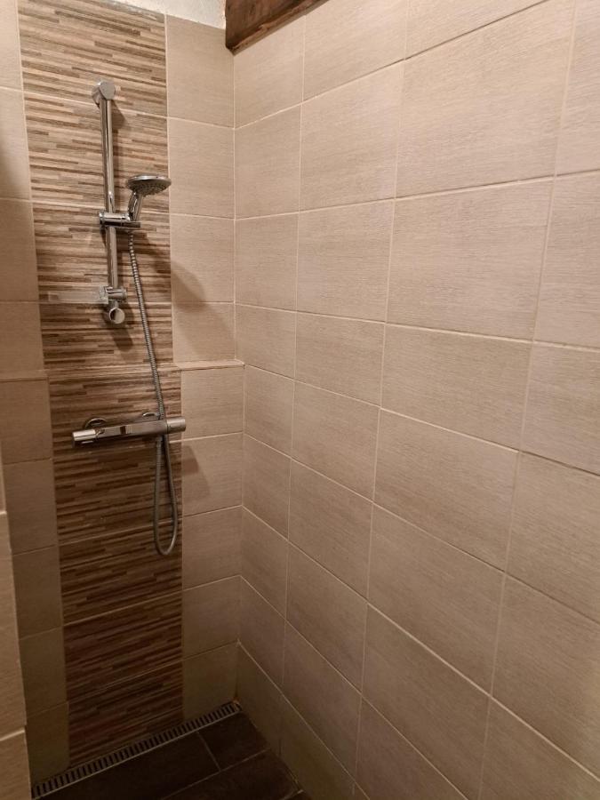Vila Hedvika Nové Hrady  Zewnętrze zdjęcie